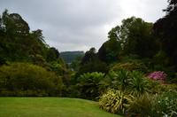 416 Cornwall, Trebah Garden
