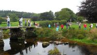 089 Dartmoor - Clapper Bridge bei Postbridge