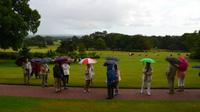 140 Killerton House & Garden