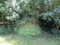 The Lost Gardens of Heligan