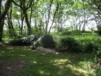The Lost Gardens of Heligan