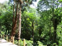 The Lost Gardens of Heligan