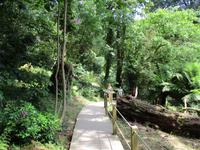 The Lost Gardens of Heligan