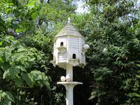 The Lost Gardens of Heligan