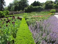 The Lost Gardens of Heligan