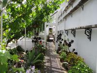 The Lost Gardens of Heligan