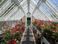 The Lost Gardens of Heligan