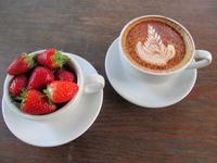 The Lost Gardens of Heligan