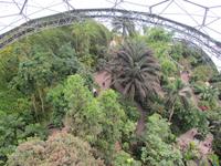 Eden Project