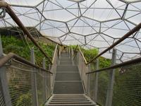 Eden Project