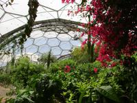 Eden Project