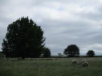 Avebury