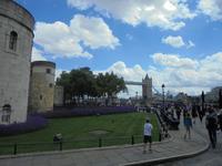 Tower mit Blick zur Tower Bridge, London