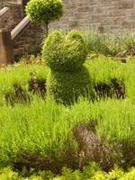 Katzenschloss Belfast Castle