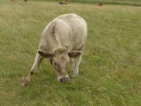 Wanderung zu Stonehenge