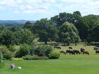 Blick auf das Anwesen von Killlerton House