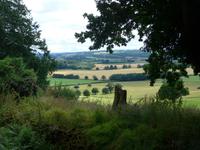 Wanderung im Anwesen von Killerton House