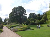 Garten aus 20. Jh. Killerton House