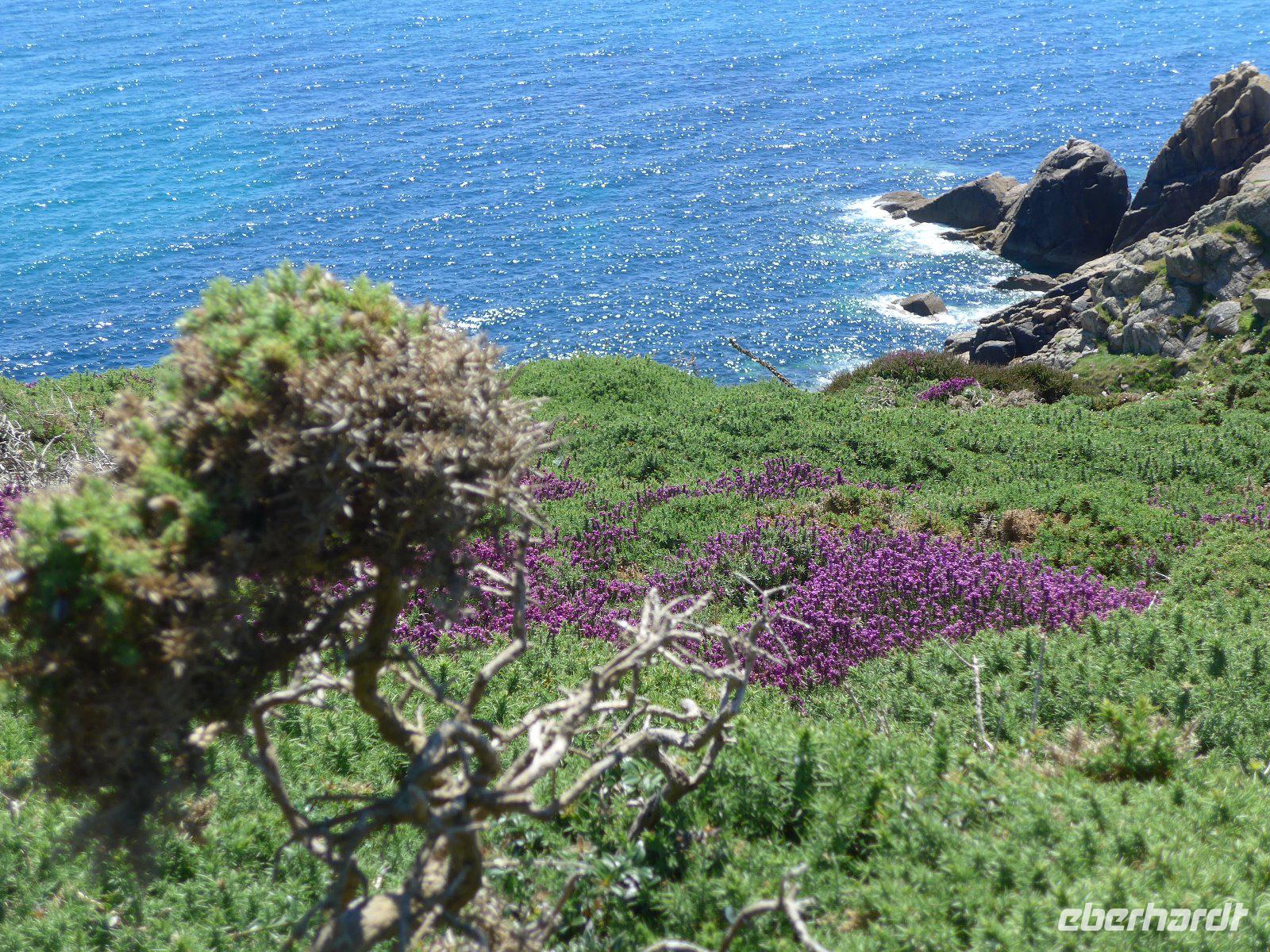 Küstenwanderung nach Land's End