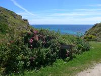 Küstenwanderung nach Land's End