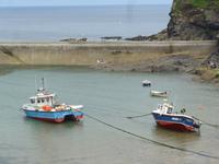 Hafen von Port Isaac