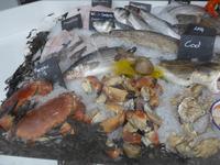 Fischgeschäft in Padstow