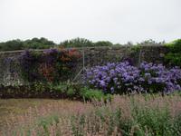 Nationaler Botanischer Garten von Wales
