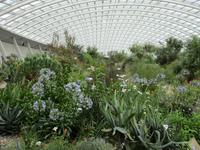 Nationaler Botanischer Garten von Wales