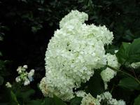 Nationaler Botanischer Garten von Wales