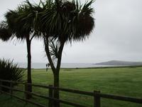 Cliff Hotel Cardigan