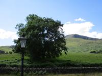 Welsh Highland Railway