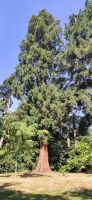 142 Arley Arboratum & Gardens