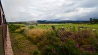 142 Strathspey Railway
