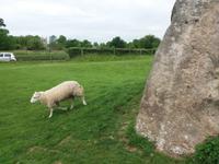 Avebury Steinkreis