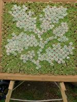 St. Michaels Mount National Trust