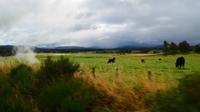 143 Strathspey Railway