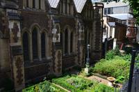 011 London, Kräutergarten der Southwalk Cathedral