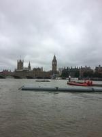 Blick auf Westminster