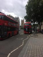 Blick von White Hall Richtung Westminster