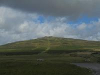 Blick über die Weiten des Dartmoors