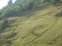 in der Cheddar-Schlucht