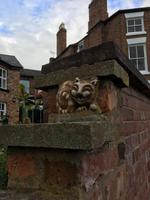 Grinsekatze von Chester