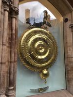 Die Heuschrecke frisst unsere Zeit