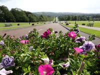 Belfast - Zufahrt zum Parlament