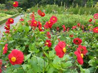 Glenveagh Nationalpark 