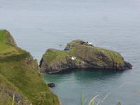 Carrick o Rede Rope Bridge