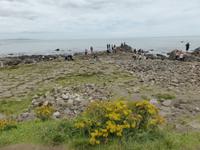 Giant´s Causeway
