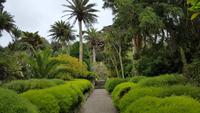 Tresco-Abbey Garden 20170829_114822