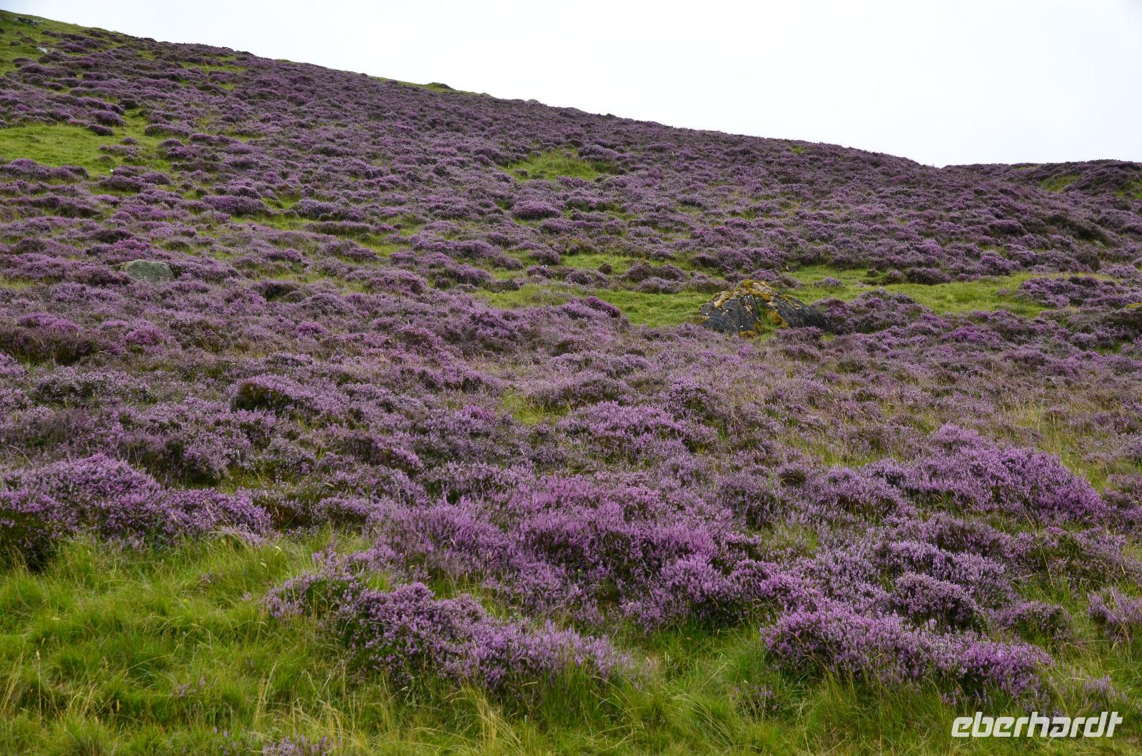 029 Glen Dee, Fotostopp