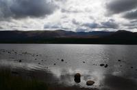 114 Cairngorm Mountains, Blick über den Loch Morlich